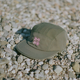 Casquette fleurie Ciele x Le Portique - Vert forêt