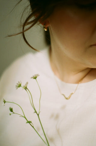Anneaux Mélilot or vermeil