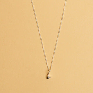 Pendentif coeur argent